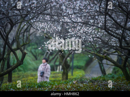 Hangzhou, Chine, Province de Zhejiang. Feb, 2017 4. Personnes voir plum blossoms dans l'endroit pittoresque e Gang de Hangzhou, capitale de la Chine de l'est la province du Zhejiang, le 4 février 2017. Credit : Xu Yu/Xinhua/Alamy Live News Banque D'Images