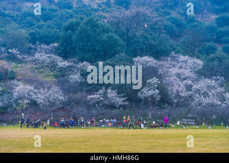 Hangzhou, Chine, Province de Zhejiang. Feb, 2017 4. Personnes voir plum blossoms dans l'endroit pittoresque e Gang de Hangzhou, capitale de la Chine de l'est la province du Zhejiang, le 4 février 2017. Credit : Xu Yu/Xinhua/Alamy Live News Banque D'Images