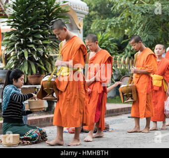 La collecte de l'aumône des moines de riz au petit matin tak bat procession Banque D'Images