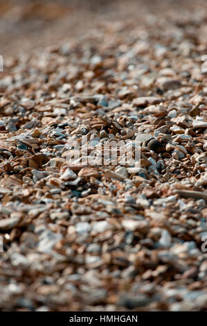 Stokes Bay Beach, dans la région du Solent qui se trouve juste au sud de Gosport, entre Portsmouth et Lee-sur-le-Solent, Hampshire, Royaume-Uni Banque D'Images