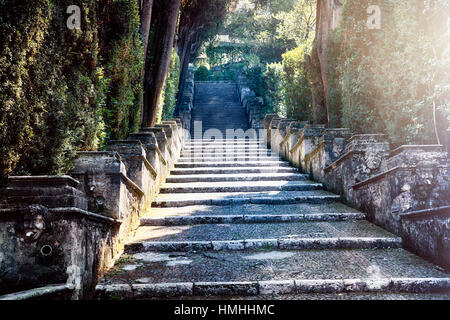 Escaliers dans un jardin, la Villa d'Este, Tivoli, lazio, Italie Banque D'Images