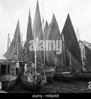 Schiffe ï»¿ Untitled im Hafen von Belém do Pará (Brésil), 1966. Navires au port de Belém (Pará), Brésil 1966. Banque D'Images