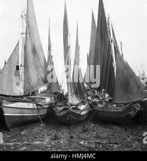 Schiffe ï»¿ Untitled im Hafen von Belém do Pará (Brésil), 1966. Navires au port de Belém (Pará), Brésil 1966. Banque D'Images
