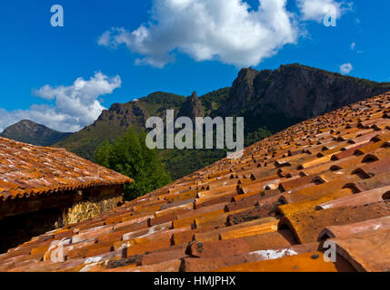 Paysage de montagne à Mogrovejo dans le Parc National de Picos de Europa Cantabria Espagne du nord Banque D'Images