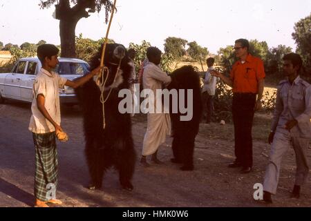 Scène de jeunes hommes autochtones tenu en laisse et muselé la manipulation de l'ours noir comme ils négocier pour les touristes" prises à l'extérieur du marché Sadar market d'Agra, Uttar Pradesh, Inde, novembre 1973. Banque D'Images