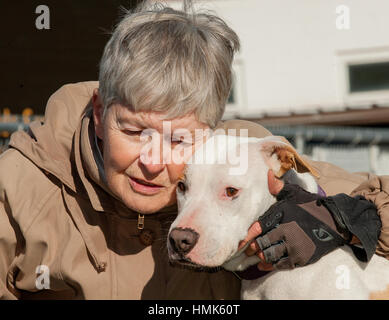 Triste à la white mixed breed rescue dog être caressé par travailleur abri Banque D'Images