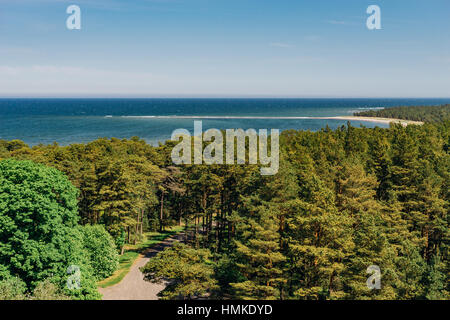 Vue de dessus sur la côte et la forêt de conifères de l'île d'Hiiumaa, Estonie Banque D'Images