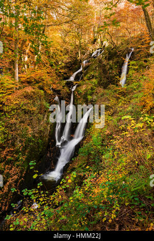 Stockghyll vigueur à Ambleside dans le Parc National du Lake District, Cumbria, Angleterre. Banque D'Images