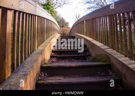 Passerelle sur la Loutre de rivière, à Otterton,Devon sur le "Sentier des castors'. Banque D'Images