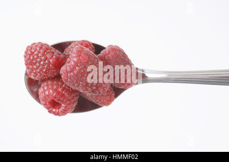 Cuillère de framboises fraîches sur fond blanc Banque D'Images
