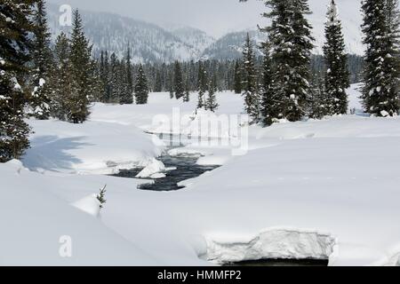 Libre de glace-neige en hiver la rivière de montagne lié Banque D'Images