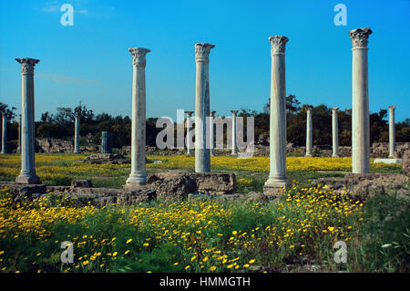 Les colonnes classiques dans le gymnase à Salamine, une ancienne ville grecque près de Famagouste, sur la côte est de Chypre du Nord Banque D'Images