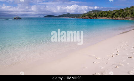 Whitehaven Beach panorama au Whitsunday Island Banque D'Images