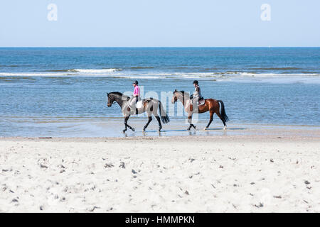 Norderney - 9 mai : deux personnes sur les chevaux sur la plage de la mer du Nord en Norderney, Allemagne le 10 mai, 2013 Banque D'Images