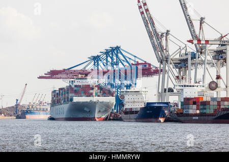 Hambourg, Allemagne - le 5 juillet : navire géant dans le port à conteneurs avec de grandes grues de port de Hambourg, Allemagne, le 5 juillet 2013 Banque D'Images