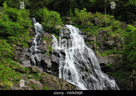 Cascade dans la Forêt Noire en Allemagne Banque D'Images