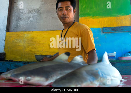 La vente et l'achat de petits requins. Gypsy village de pêche. Koh Mook (Muk) est une petite île rocheuse au large de la côte de la province de Trang. Sur le côté est, le Banque D'Images