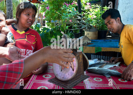 La vente et l'achat de petits requins. Gypsy village de pêche. Koh Mook (Muk) est une petite île rocheuse au large de la côte de la province de Trang. Sur le côté est, le Banque D'Images