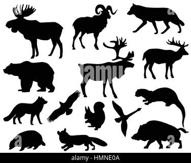 Collection de silhouettes d'animaux vivant sur le territoire de l'Europe Illustration de Vecteur