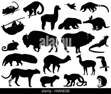 Collection de silhouettes d'animaux vivant sur le territoire du Nord et l'Amérique du Sud Illustration de Vecteur