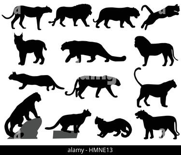 Collection de silhouettes d'animaux sauvages - la famille de chat Illustration de Vecteur