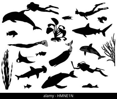 Silhouettes de plongeurs sous l'eau parmi les poissons différents Illustration de Vecteur