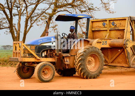 KENYA, comté de Kakamega, Mumia, plantation de canne à sucre et de l'usine de sucre Sucre Mumia Company Ltd. / KENIA, comté de Kakamega, Mumia, Zuckerrohr Plantage der Mumia Sugar Company Limited Banque D'Images