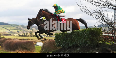 Auvergnat monté par Donal Jason McInerney continue à gagner le P.P. Hogan Memorial Cross Country steeple-chase Cottage liée au cours de BoyleSports Journée à Punchestown Racecourse, Naas, comté de Kildare. Banque D'Images