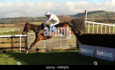 Douvan monté par Ruby Walsh saute la dernière pour gagner le BoyleSports lié au cours de BoyleSports Steeplechase Cottage Cottage liée au jour Chase de Punchestown, Naas, comté de Kildare. Banque D'Images