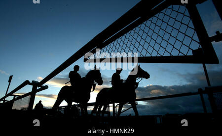 Chevaux aller à poster dans les Goffs Vente Sur invitation du Festival Punchestown (Pro/Am) courses de plat au cours de BoyleSports Cottage liée au jour Chase de Punchestown, Naas, comté de Kildare. Banque D'Images