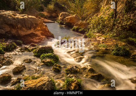 Situé à 3 km de Callosa d'en Sarrià, à seulement 15 km de Benidorm, l'Chutes d'Algar sont une des ressources touristiques de la Costa Blanca. Banque D'Images