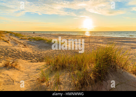 L'herbe sur dune de sable au coucher du soleil, plage de la mer Baltique, Leba, Pologne Banque D'Images