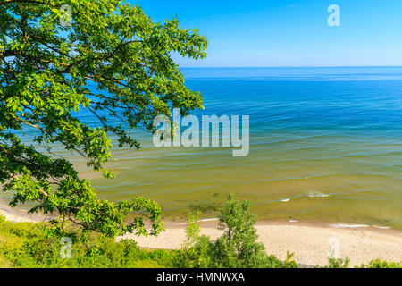 Vue sur la plage à partir de la haute falaise en Jastrzebia Gora, mer Baltique, Pologne Banque D'Images