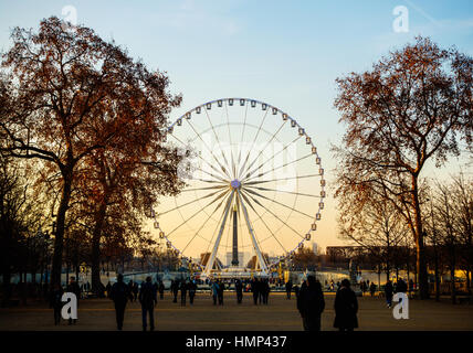 PARIS, FRANCE - CIRCA DÉCEMBRE 2016 : La Grande Roue sur la place de la Concorde comme vu du Jardin des Tuileries. Banque D'Images