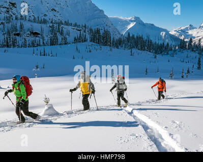 Retour skieurs de peaux synthétiques pour grimper ; Esplanade Plage ; montagnes près de Selkirk Lodge Sentry à distance ; British Columbia, Canada Banque D'Images