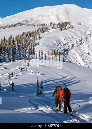 Retour skieurs de peaux synthétiques pour grimper ; Esplanade Plage ; montagnes près de Selkirk Lodge Sentry à distance ; British Columbia, Canada Banque D'Images