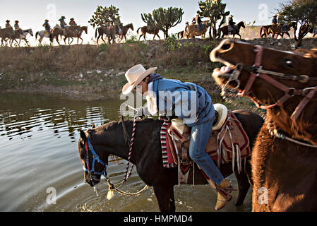 Cowboys mexicains s'arrêter à l'eau leurs chevaux au cours de l'Assemblée Cabalgata de Cristo Rey, 5 janvier 2017 pèlerinage à San José del Rodeo, Guanajuato, Mexique. Des milliers de Mexicains cowboys et l'prendre part dans les trois jours de ride sur le sommet de culte de Cristo Rey arrêter le long de la voie à des sanctuaires et des églises. Banque D'Images