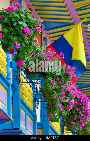 Balcon colonial décorées de fleurs à Filandia Colombie Banque D'Images