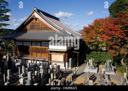 Feuilles d'érable japonais rouge en automne Banque D'Images