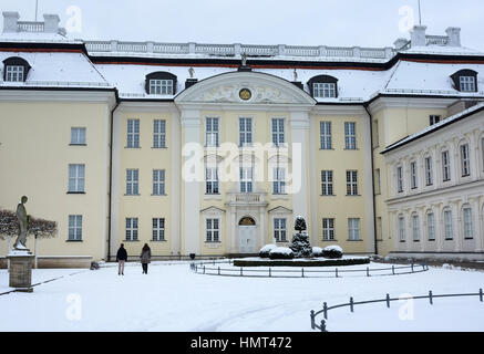 Berlin, Allemagne. 09Th Feb 2017. L'extérieur de Koepenick Palace sur un jour d'hiver gris dans le coeur de Koepenick à Berlin, Allemagne, 02 février 2017. Le bâtiment abrite le Musée des Arts et Métiers de l'État. Photo : Jens Kalaene Zentralbild-/dpa/ZB/dpa/Alamy Live News Banque D'Images