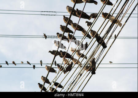 Les câbles d'électricité à Bangkok, Thaïlande Banque D'Images