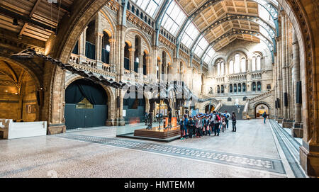Londres, Royaume-Uni - 19 octobre 2016 : les touristes visitent Natural History Museum de Londres, en Angleterre. Banque D'Images