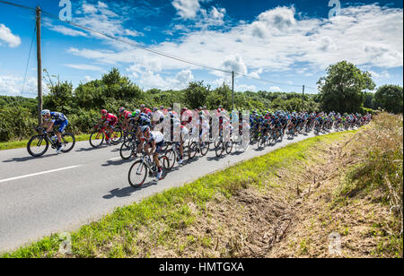 Quineville,France- 2 juillet 2016 : le peloton à cheval au cours de la première étape du Tour de France à Quineville, France le 2 juillet 2016. Banque D'Images