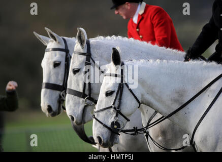 Dorset, UK. Feb, 2017 5. La recherche de Dorset South Point-à-point courses. Membres de la South Dorset Hunt en tenue de chasse traditionnelle au South Dorset réunion de courses. Crédit : David Partridge / Alamy Live News Banque D'Images