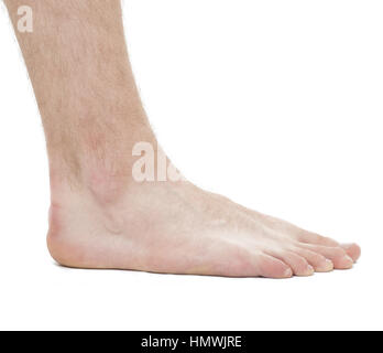 Anatomie du pied - Male - studio photo isolated on white Banque D'Images