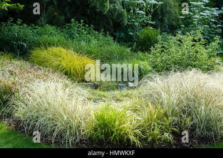 Chambres d'herbes au printemps, les Jardins du pays d'Auge, Normandie, France Banque D'Images