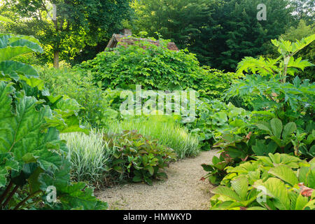 Jardins du pays d'Auge (mention obligatoire dans la légende ou le crédit photo) : autour du bassin de massifs de plantes à grandes feuilles avec Gunnera m Banque D'Images