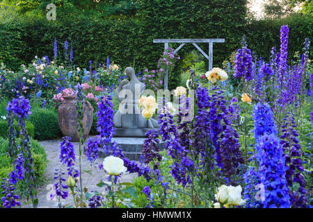 Jardins du pays d'Auge, Normandie, France, ici, 'jardin de l'amour courtois avec les boîtes taillées, Delphinium roses Banque D'Images