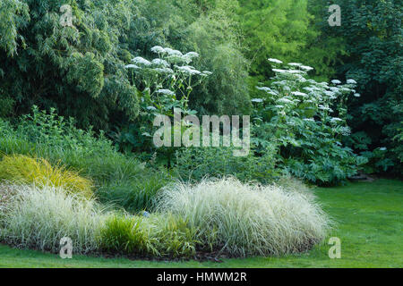 Chambres d'herbes au printemps, les Jardins du pays d'Auge, Normandie, France Banque D'Images