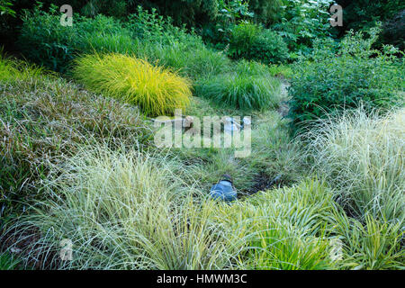 Chambres d'herbes au printemps avec un récipient pour l'eau, Jardins du pays d'Auge, Normandie, France Banque D'Images